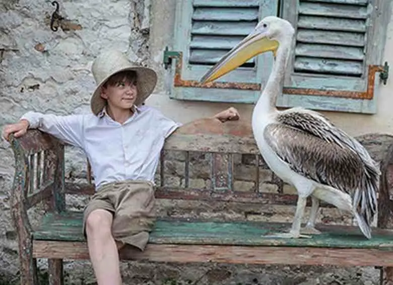 Explore Corfu like the Durrells